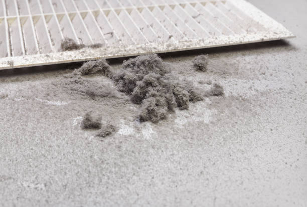 Best Ductwork Cleaning Services  in Herscher, IL