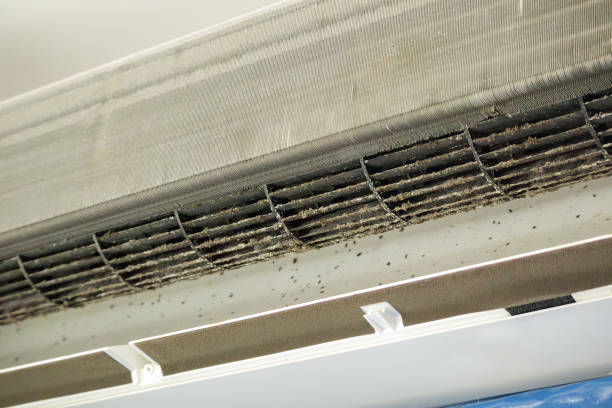 Best Air Duct Cleaning Cost  in Herscher, IL